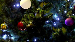 Как установить елку