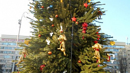 Где купить елку 7 метров высотой