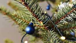 Как привезти елку на машине