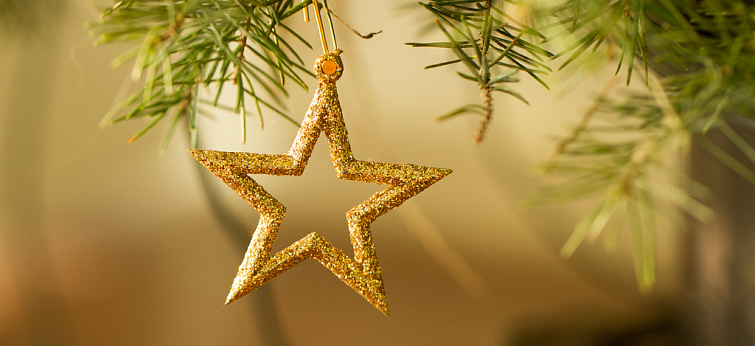 Три мифа о живой новогодней елке