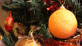 Ель в горшке для вашего офиса